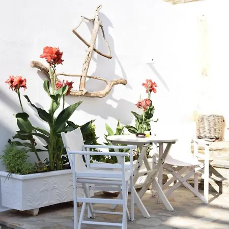 Elena & 3* Piso Livadi