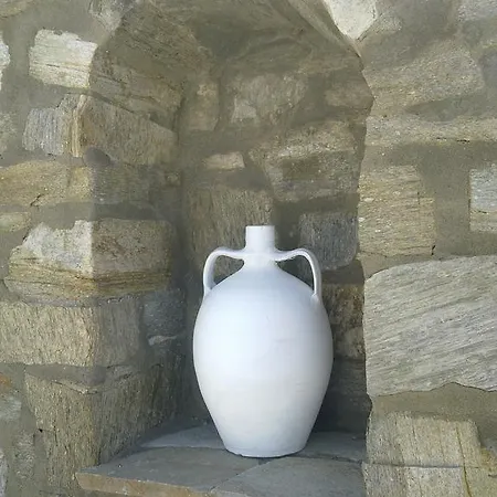 شقة فندقية Elena & 3*