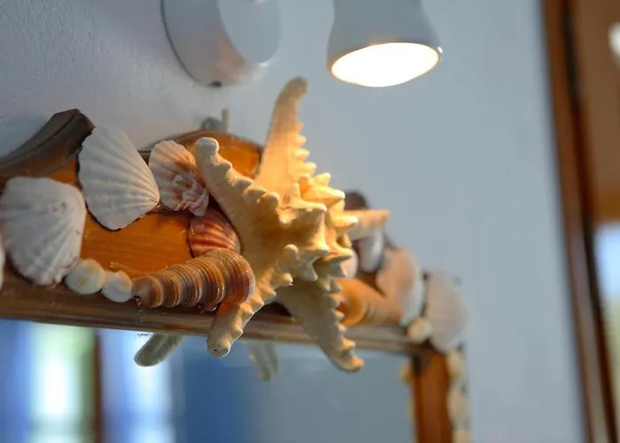 Aparthotel Elena & 3*